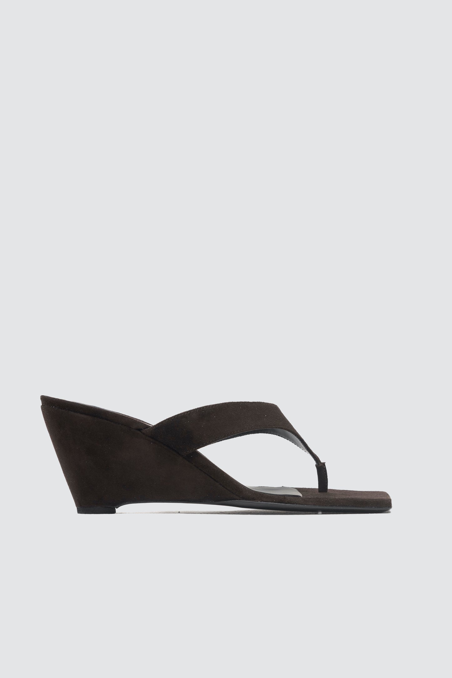 LAUREN CAMOSCIO BROWN