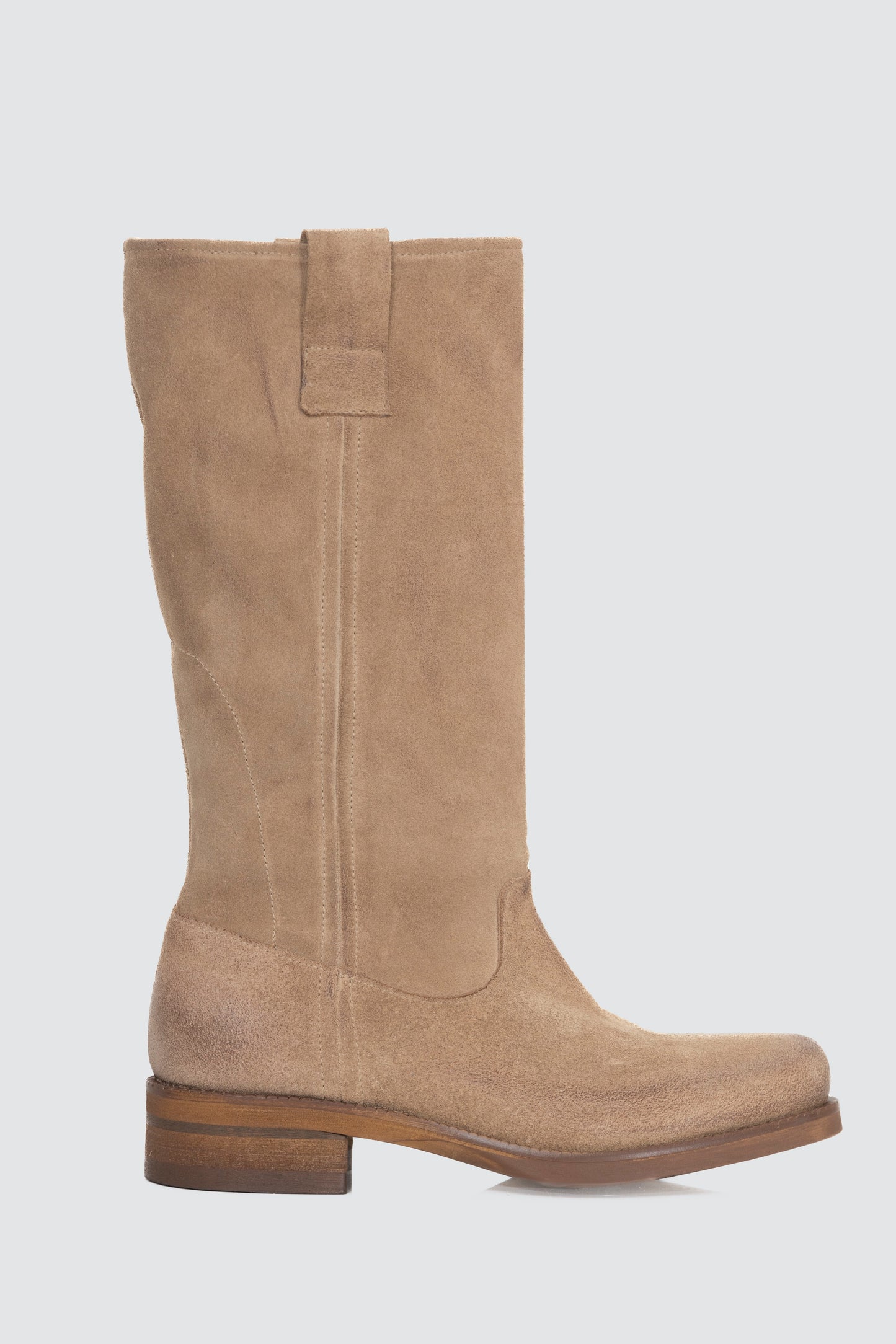 HOLLY CARAMEL